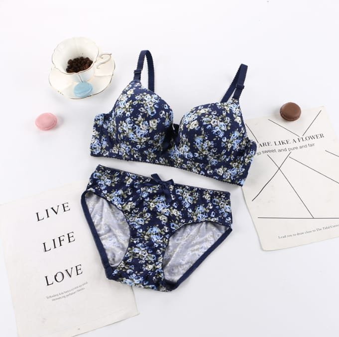 Women's fancy & Soft Matriyal Sexy Bra & Panty Set (Pack of 6) - Image 6